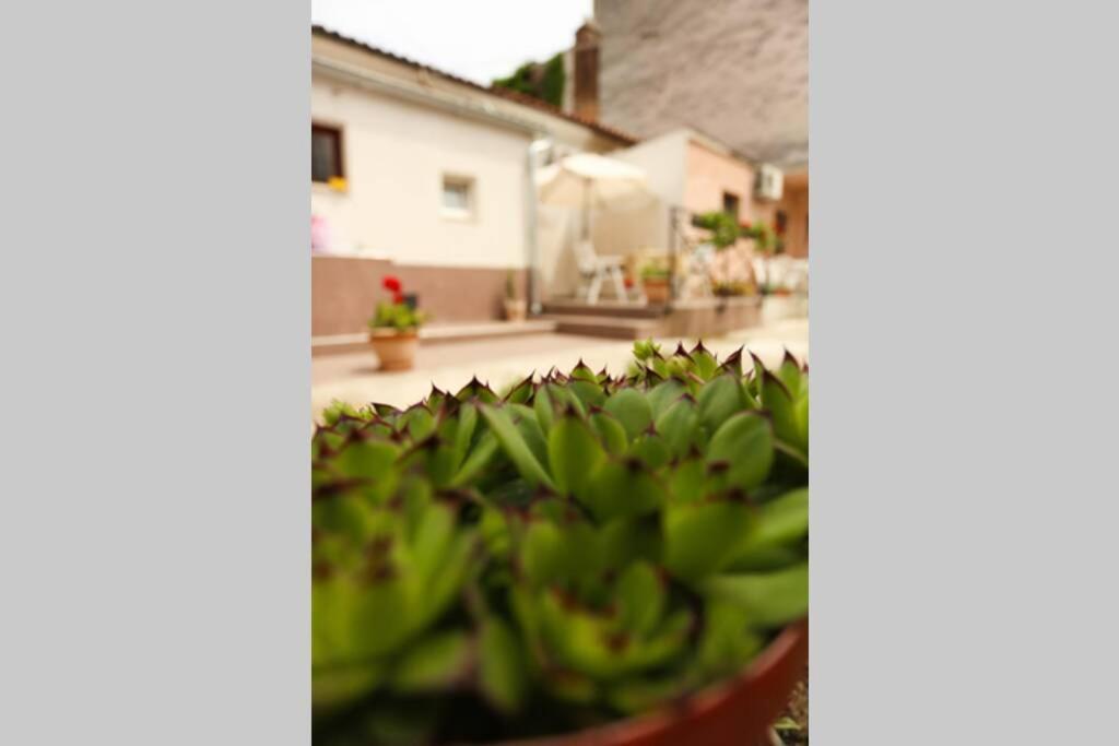 Charming Apartment In Town Center Pula Buitenkant foto